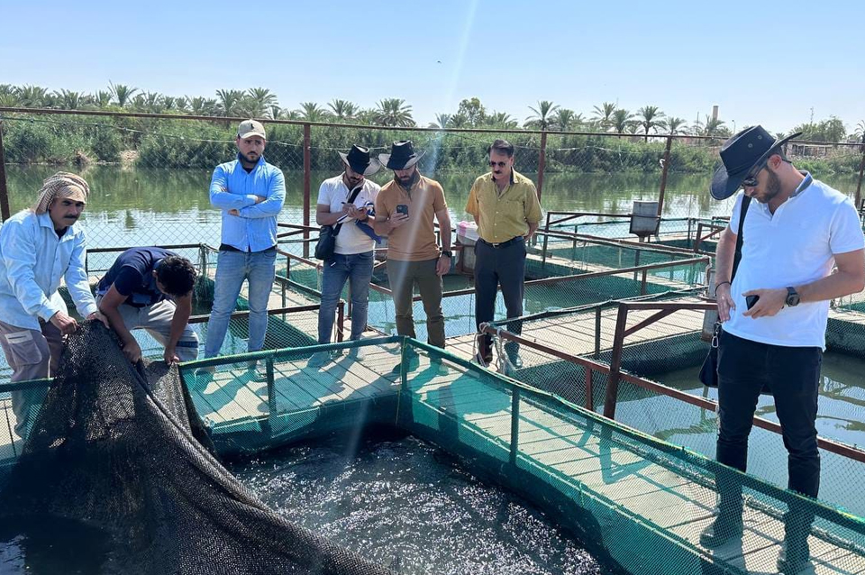 Experts from the Spanish company OX